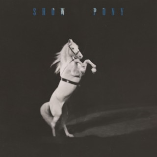 Show Pony lyrics | Boomplay Music