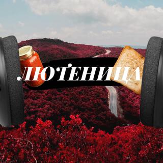 Лютеница