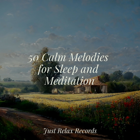 Mystic Moon's Silent Chant ft. Meditation Relaxation Club & Música Para Meditar y Relajarse | Boomplay Music