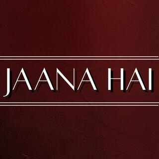 Jaana Hai lyrics | Boomplay Music