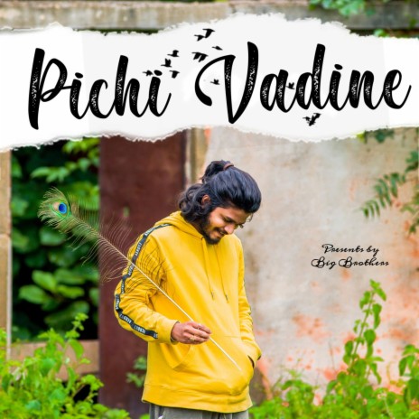 Pichi Vadine (Telugu Song)