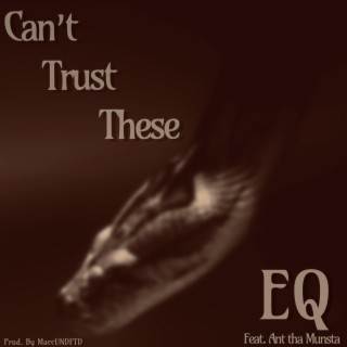 Cant Trust These ft. Ant Tha Munsta lyrics | Boomplay Music