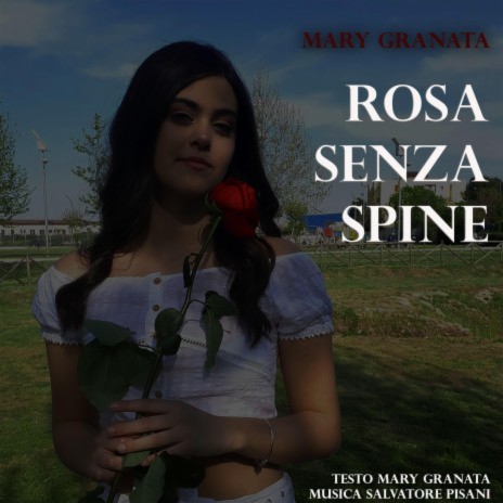 Rosa senza spine