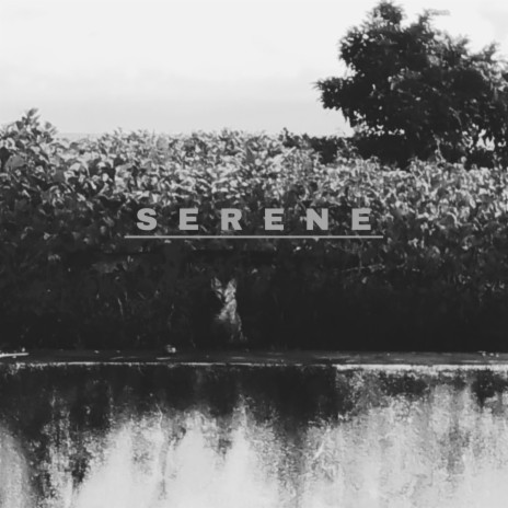 Serene | Boomplay Music