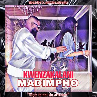 MADIMPHO KWENZAKALANI TIKTOK AMAPIANO SONG