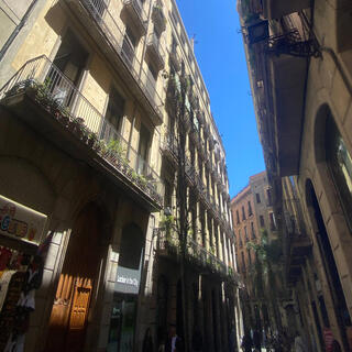 BCN