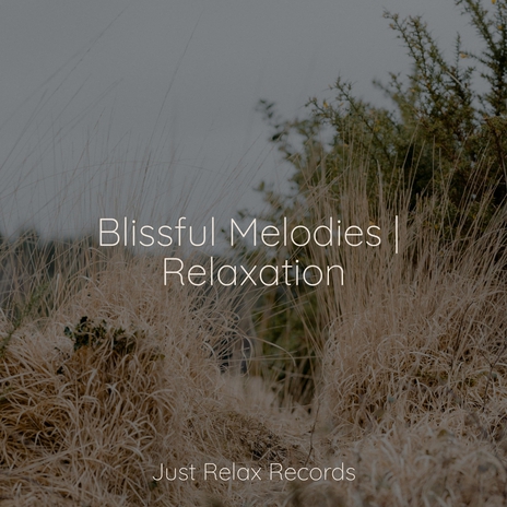 Misty Oasis Retreat ft. Thunderstorm Sound Bank & Rockabye Lullaby | Boomplay Music