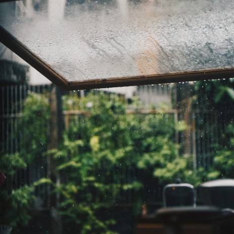 Rain in the Morning | Boomplay Music