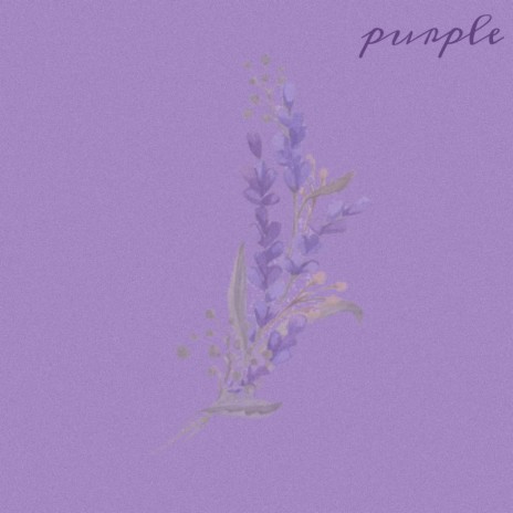 purple | Boomplay Music