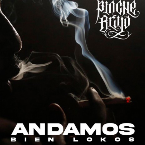 ANDAMOS BIEN LOKOS | Boomplay Music