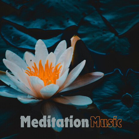Harmonious Stillness ft. Meditation Music Tracks, Meditation Music & Balanced Mindful Meditations | Boomplay Music