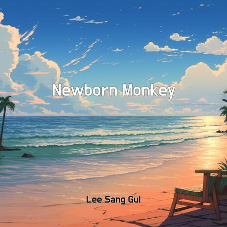 Newborn Monkey | Boomplay Music