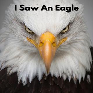 I Saw An Eagle