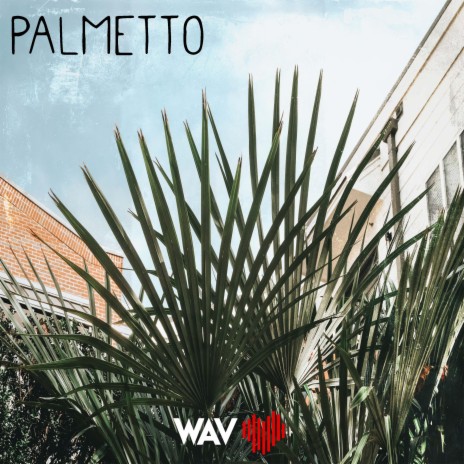 Palmetto ft. Big Hack & Dami Hendrix | Boomplay Music