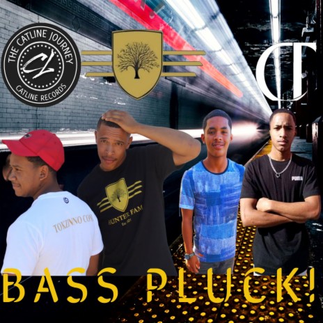 Bass Pluck