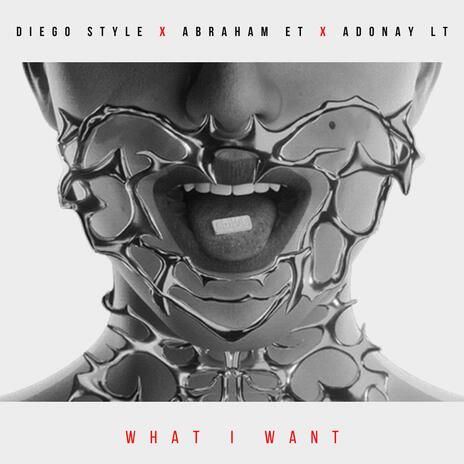 What I Want ft. Diego Style & Adonay LT | Boomplay Music