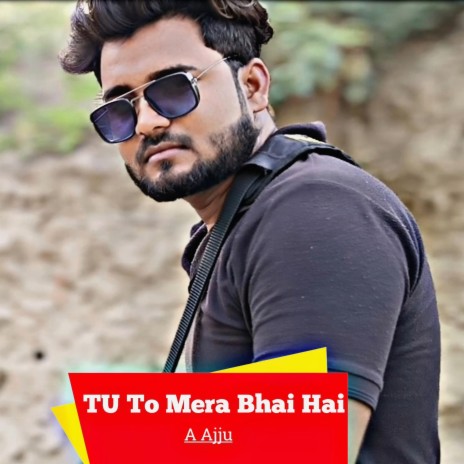 Tu To Mera Bhai Hai lofi | Boomplay Music