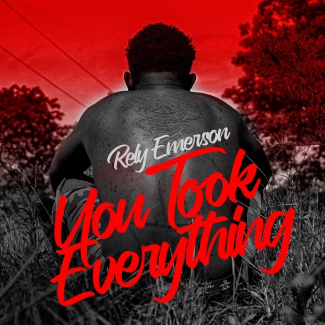 You Took Everything | Boomplay Music