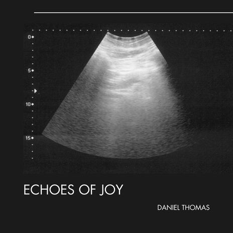 Echoes of Joy | Boomplay Music