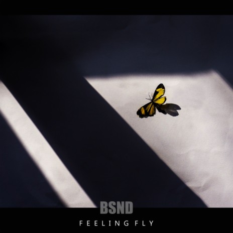 Feeling Fly (Instrumental) | Boomplay Music