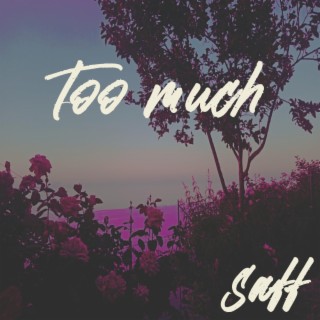 Too Much