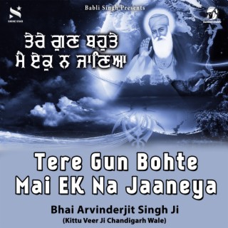 Tere Gun Bohte Mai Ek Na Jaaneya