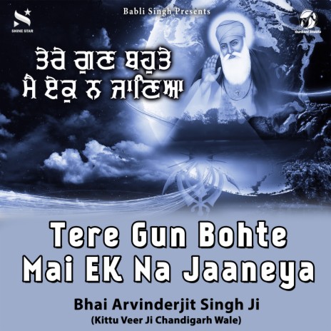 Tere Gun Bohte Mai Ek Na Jaaneya | Boomplay Music