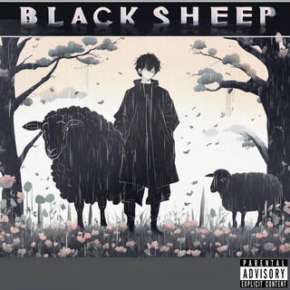 Black Sheep