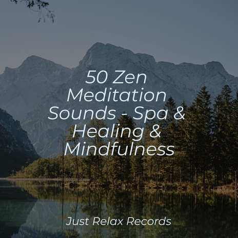 Sky's Limitless Journey ft. Sonidos de la Naturaleza Relajacion & Yoga Sounds | Boomplay Music