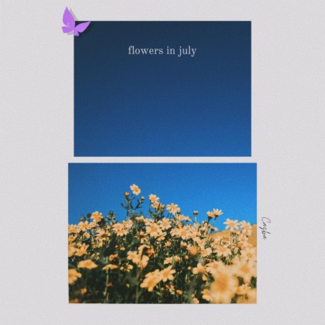 flowers in july | Boomplay Music