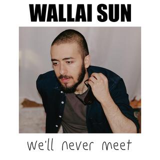 We'll Never Meet (Remix)