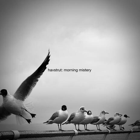 morning mistery | Boomplay Music