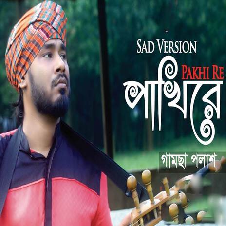 Pakhi Re (Sad Version) | Boomplay Music