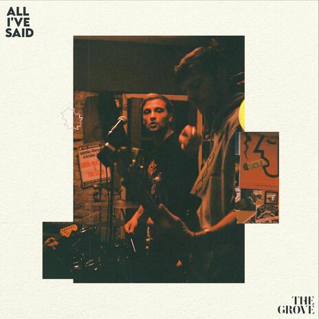 All I've Said | Boomplay Music