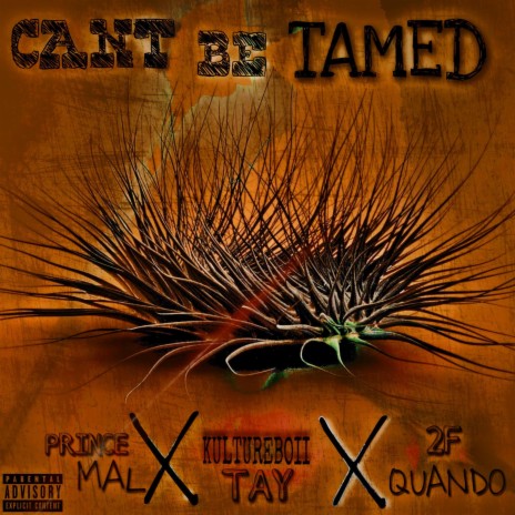 Cant Be Tamed ft. Prince Mal & Kultureboii Tay | Boomplay Music