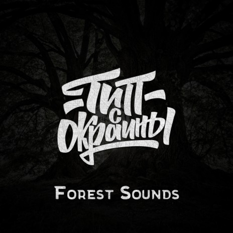 Forest Sounds | Boomplay Music