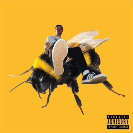Bumblebee – Wannabe