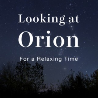Looking at Orion ~ For a Relaxing Time