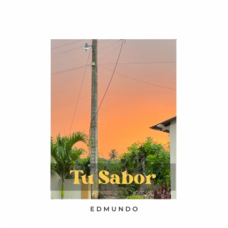 Tu Sabor