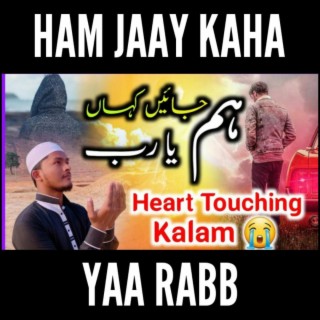 Ham Jaay Kaha Ya Rab - Sajjad Al Mubarak