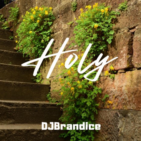 Holy | Boomplay Music