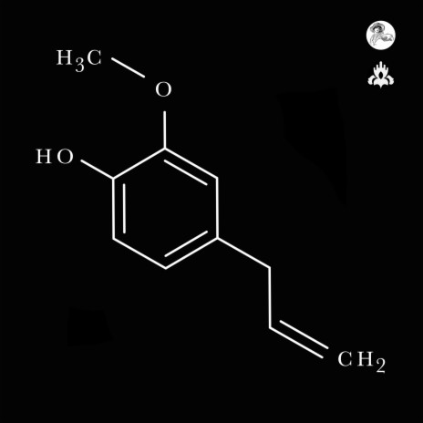 Eugenol | Boomplay Music