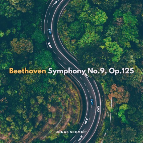 Symphony No.9, Op.125: IV. Presto - Allegro assai; Allegro molto assai (Alla marcia); Andante maestoso - Adagio ma non troppo, ma divoto - Allegro energico, sempre ben marcato - Allegro ma non tanto - Pressitissmo | Boomplay Music