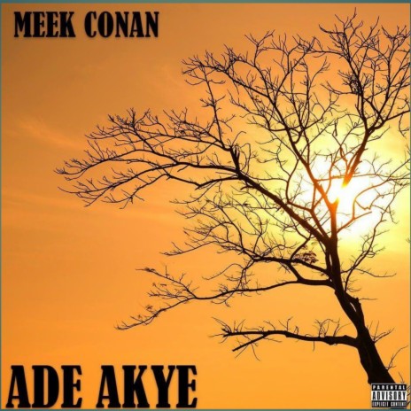 Ade Akye | Boomplay Music