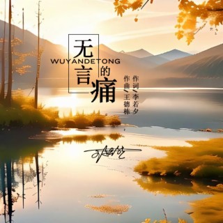 无言的痛 lyrics | Boomplay Music