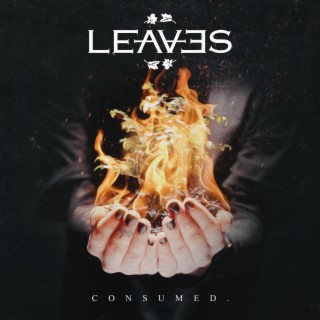 Consumed lyrics | Boomplay Music