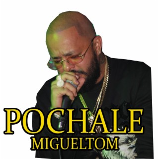 pochale