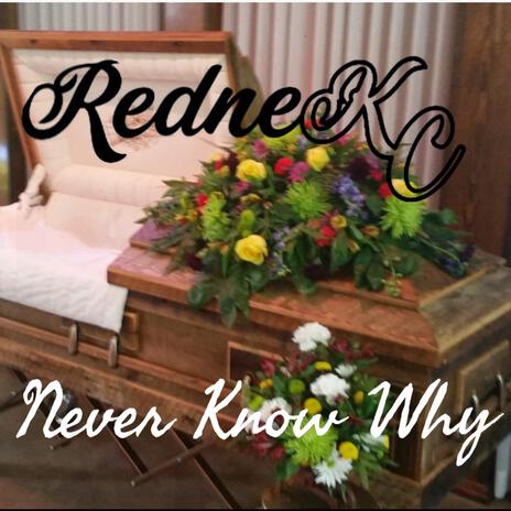 Never Know Why | Boomplay Music