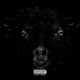 Black Sheep