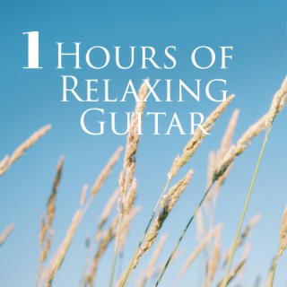 Guitar Mood for Sleep: Soothing Instrumental Music for Stress Relief, Empty Mind, Blissful Time & Calm Night Music